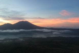 山頂からの景色